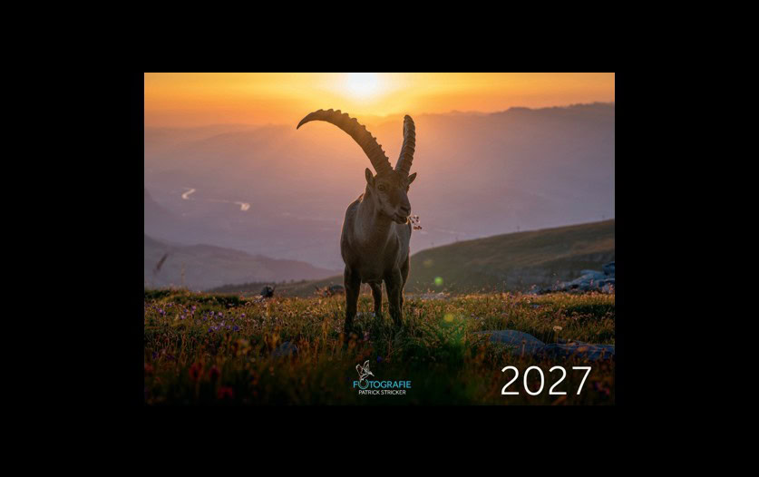 kalender2027_titelbild